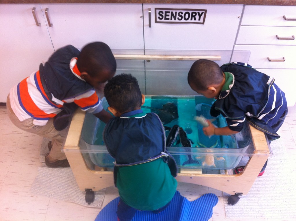 Nanny Goat Hill Nursery Ottawa Carleton Headstart Association for